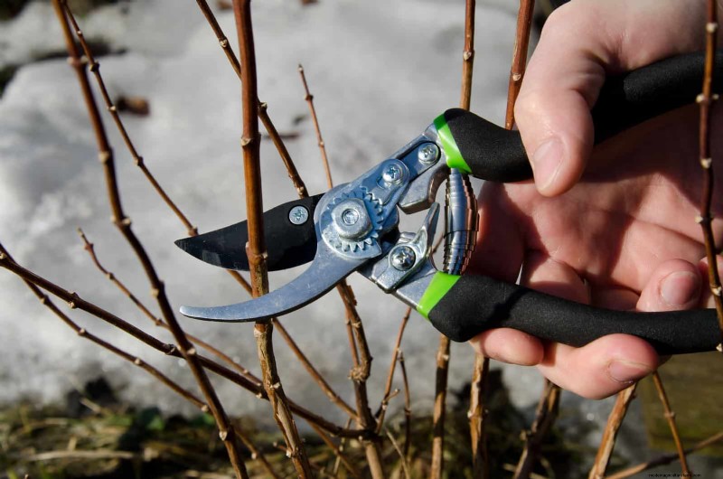 Avoid These 30 Common Gardening Mistakes: A Beginner s Guide