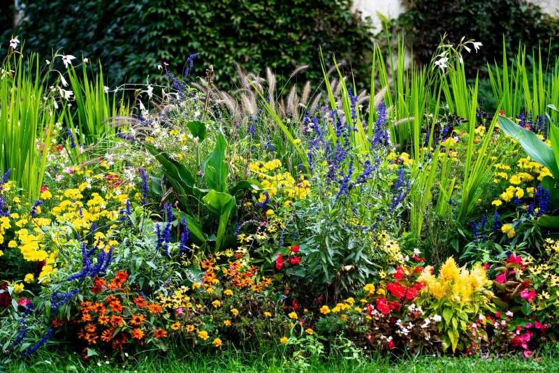 Avoid These 30 Common Gardening Mistakes: A Beginner s Guide