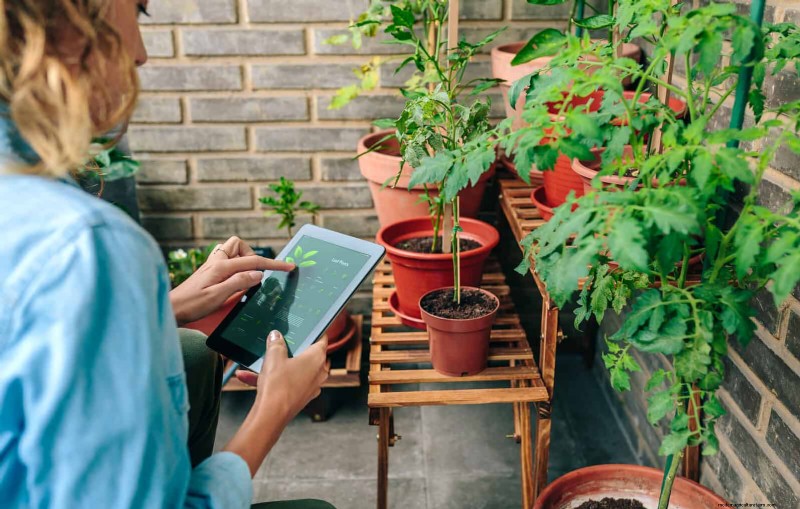 Avoid These 30 Common Gardening Mistakes: A Beginner s Guide