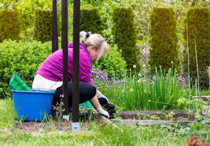 Avoid These 30 Common Gardening Mistakes: A Beginner s Guide