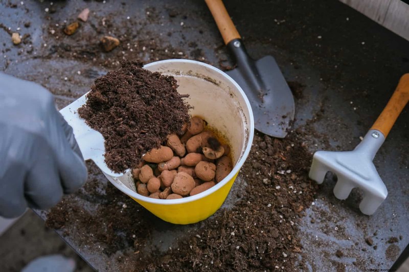 Avoid These 30 Common Gardening Mistakes: A Beginner s Guide
