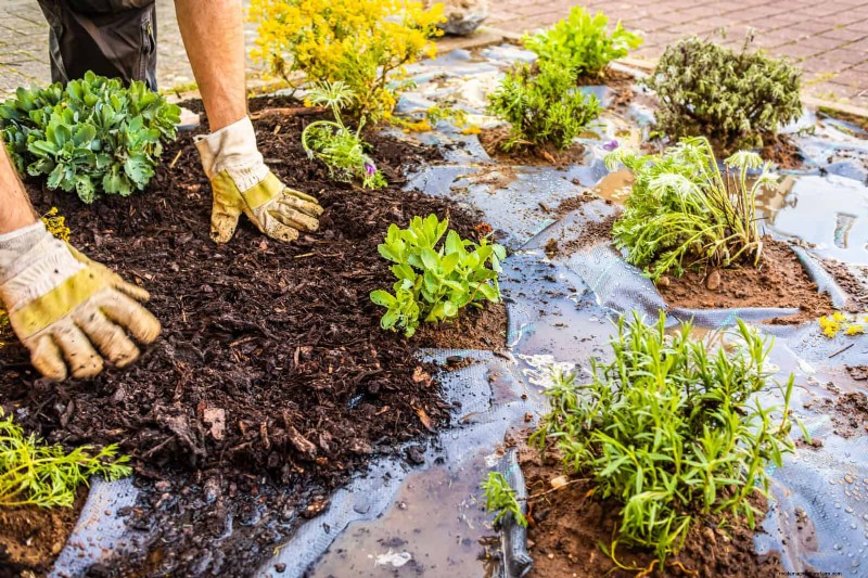Avoid These 30 Common Gardening Mistakes: A Beginner s Guide