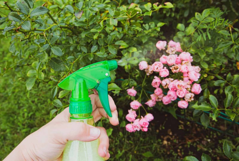 Avoid These 30 Common Gardening Mistakes: A Beginner s Guide