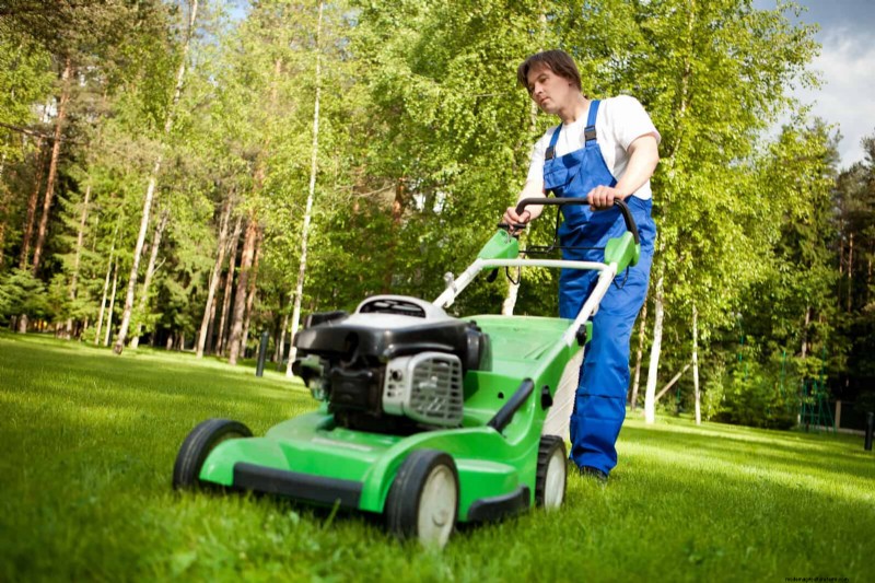 Avoid These 30 Common Gardening Mistakes: A Beginner s Guide