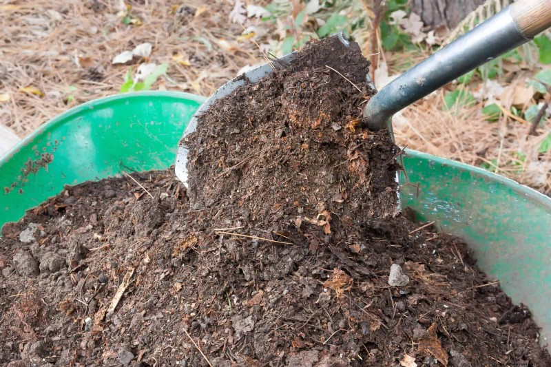 Avoid These 30 Common Gardening Mistakes: A Beginner s Guide