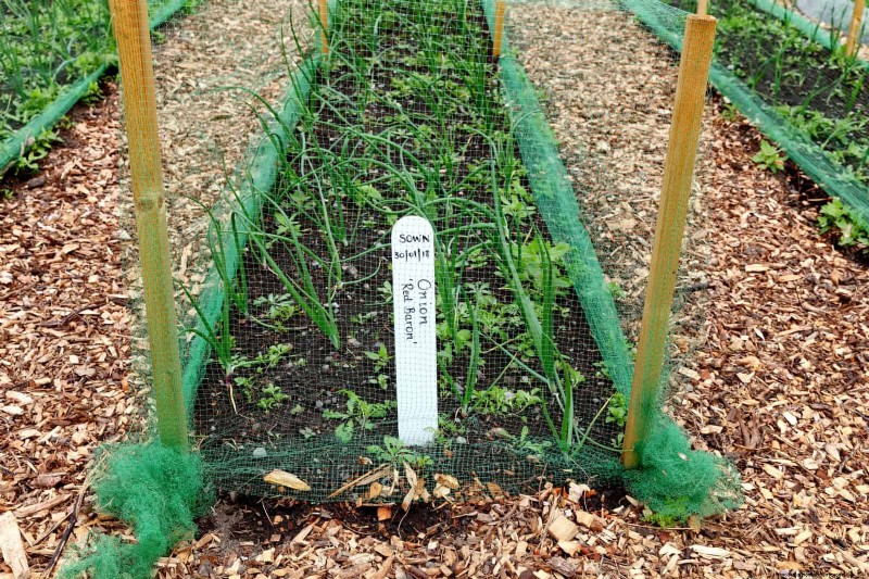 Avoid These 30 Common Gardening Mistakes: A Beginner s Guide