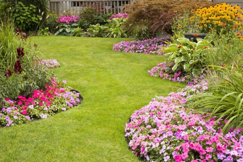 Avoid These 30 Common Gardening Mistakes: A Beginner s Guide