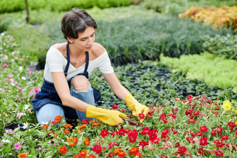 Avoid These 30 Common Gardening Mistakes: A Beginner s Guide