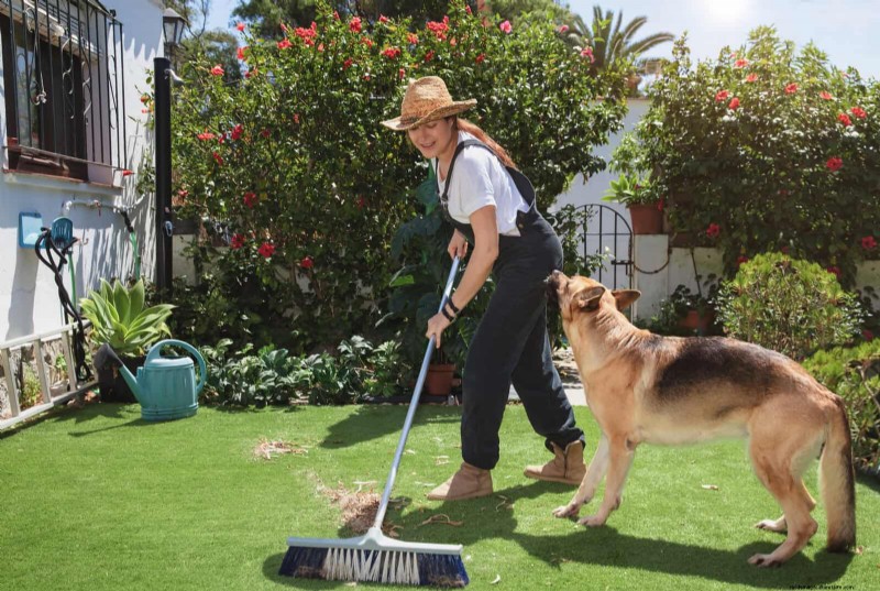Transform Your Yard: 30 Simple Landscaping Ideas for BBQ Season