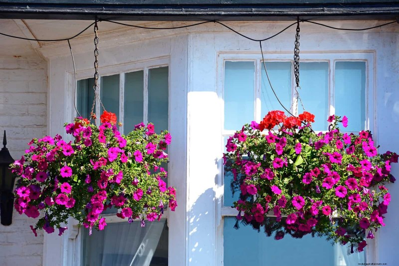 Transform Your Yard: 30 Simple Landscaping Ideas for BBQ Season