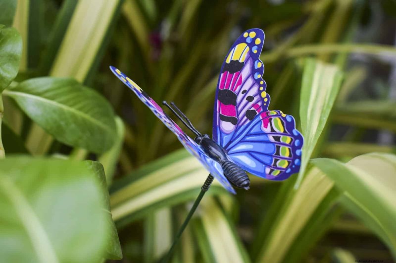 Transform Your Yard: 30 Simple Landscaping Ideas for BBQ Season