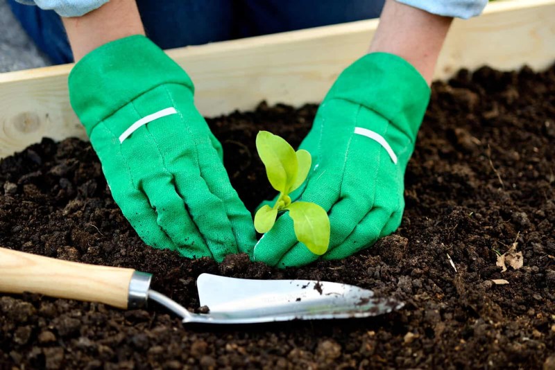 Common Spring Gardening Mistakes & How to Avoid Them