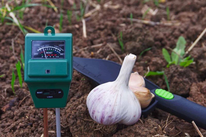 Common Spring Gardening Mistakes & How to Avoid Them