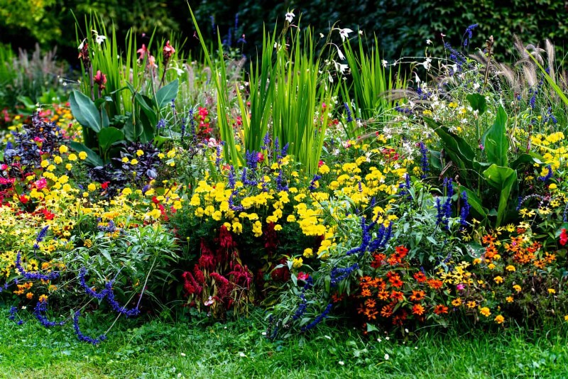 Common Spring Gardening Mistakes & How to Avoid Them
