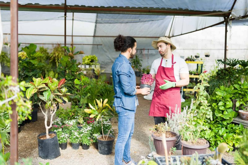 Common Spring Gardening Mistakes & How to Avoid Them