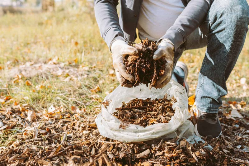 Common Spring Gardening Mistakes & How to Avoid Them