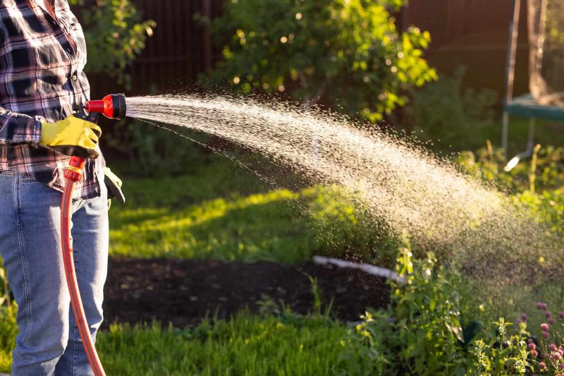 Common Spring Gardening Mistakes & How to Avoid Them