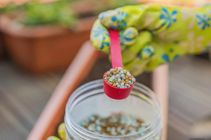 Common Spring Gardening Mistakes & How to Avoid Them