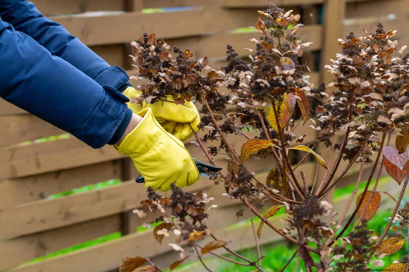 Common Spring Gardening Mistakes & How to Avoid Them