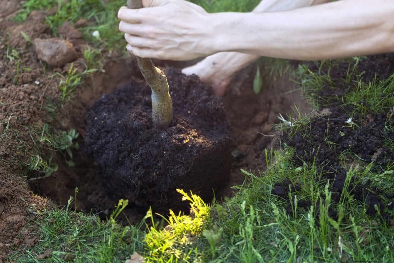 Common Spring Gardening Mistakes & How to Avoid Them