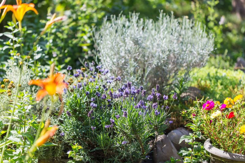 Common Spring Gardening Mistakes & How to Avoid Them