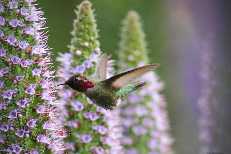 Common Spring Gardening Mistakes & How to Avoid Them