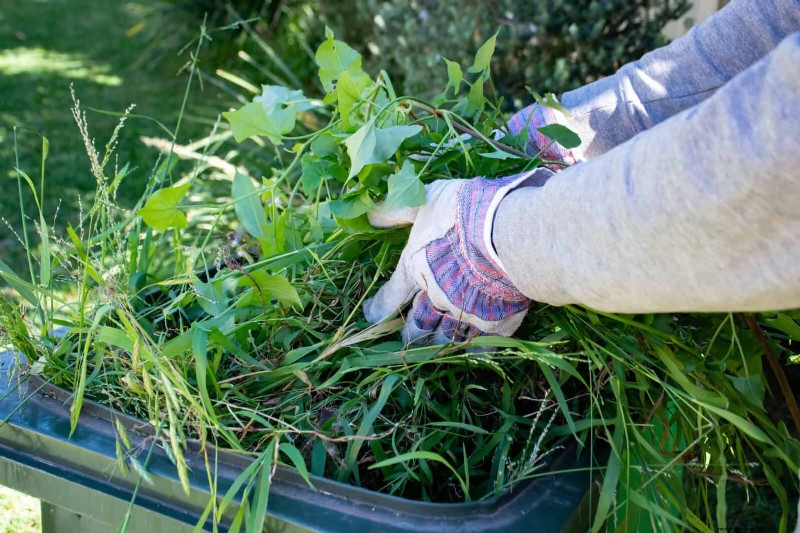 Common Spring Gardening Mistakes & How to Avoid Them