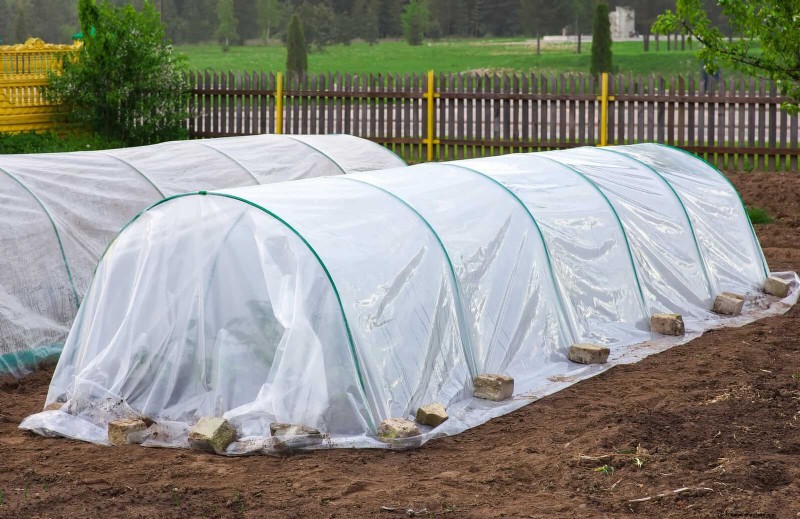 Common Spring Gardening Mistakes & How to Avoid Them