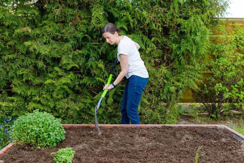 Common Spring Gardening Mistakes & How to Avoid Them
