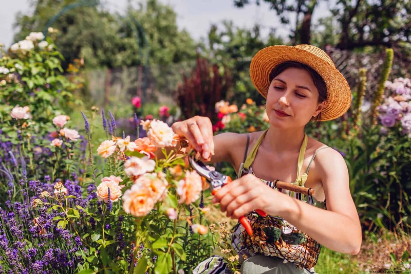 Avoid Common Summer Garden Mistakes: A Guide to a Thriving Yard
