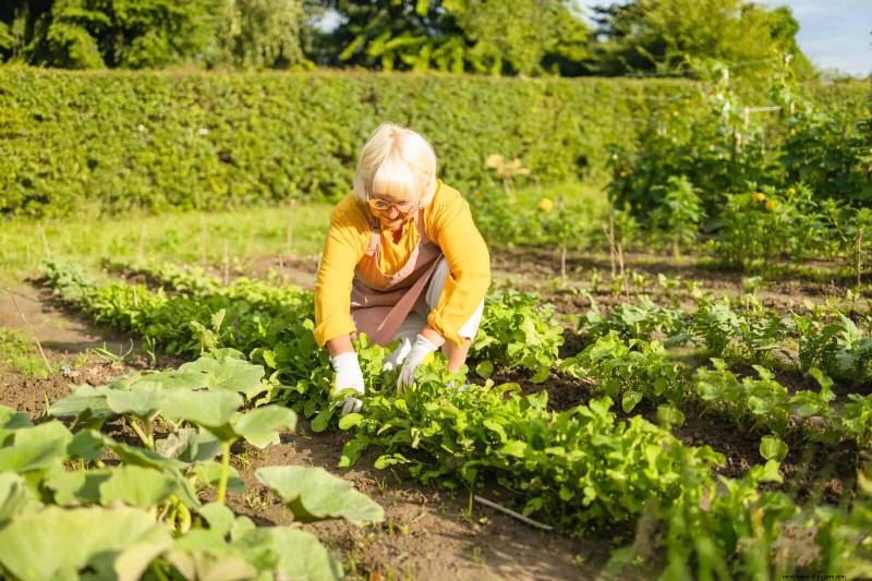 Avoid Common Summer Garden Mistakes: A Guide to a Thriving Yard