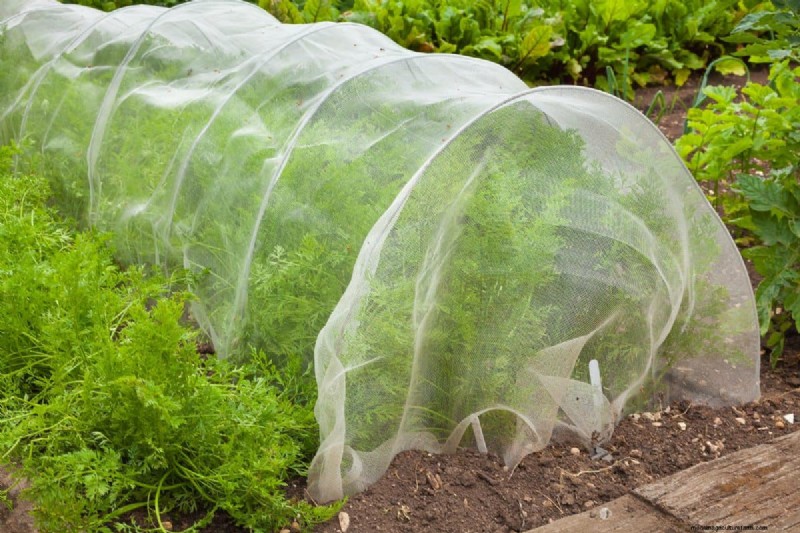 Protect Your Garden From Tornadoes at Night: 25 Essential Steps