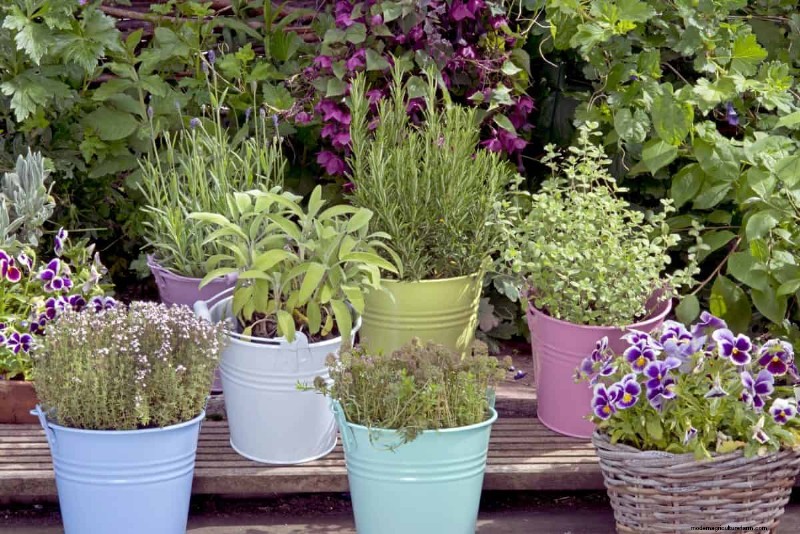 Protect Your Garden From Tornadoes at Night: 25 Essential Steps