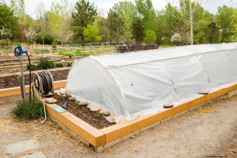 Protect Your Garden From Tornadoes at Night: 25 Essential Steps