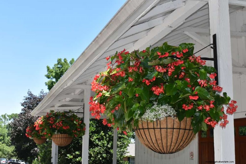 Protect Your Garden From Tornadoes at Night: 25 Essential Steps