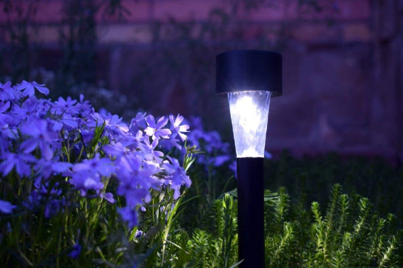Protect Your Garden From Tornadoes at Night: 25 Essential Steps
