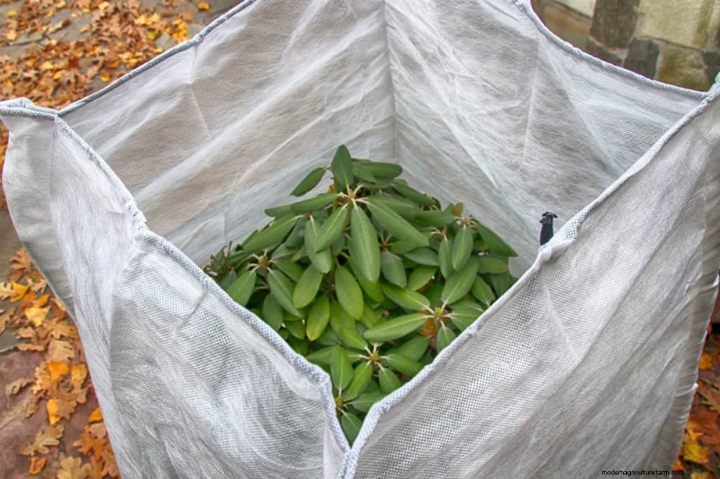 Protect Your Garden From Tornadoes at Night: 25 Essential Steps