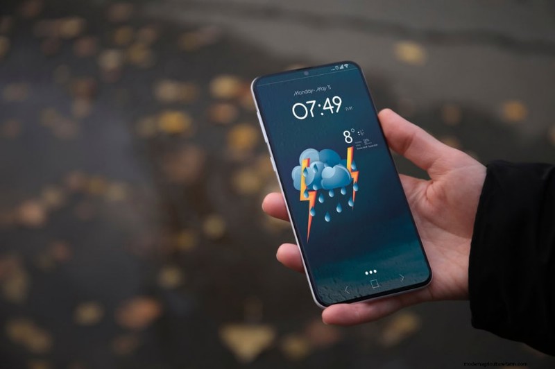 Protect Your Garden From Tornadoes at Night: 25 Essential Steps