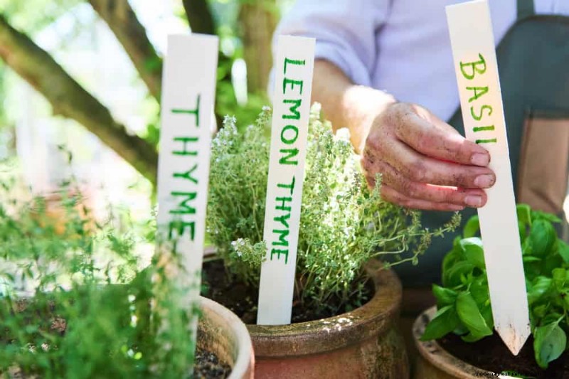 Protect Your Garden From Tornadoes at Night: 25 Essential Steps