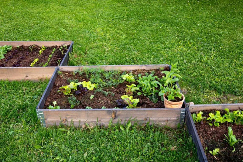 Protect Your Garden From Tornadoes at Night: 25 Essential Steps