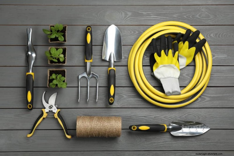 Protect Your Garden From Tornadoes at Night: 25 Essential Steps