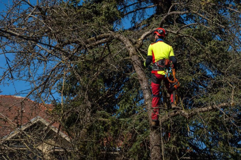 Protect Your Garden From Tornadoes at Night: 25 Essential Steps