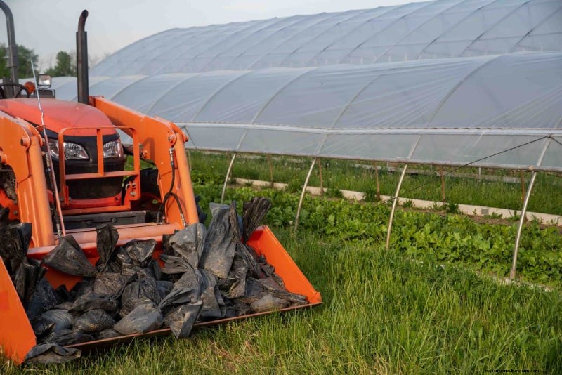 Protect Your Garden From Tornadoes at Night: 25 Essential Steps