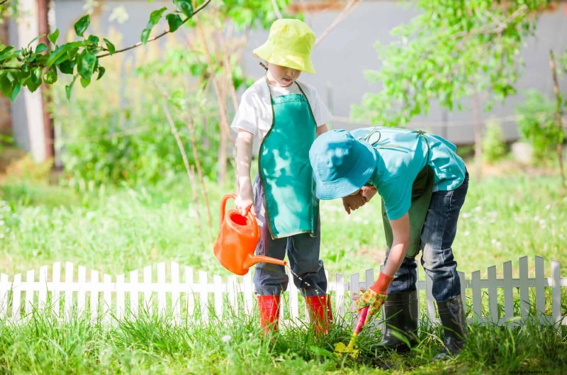 Sustainable Lawn Care: Surviving Heatwaves & Drought - Expert Tips