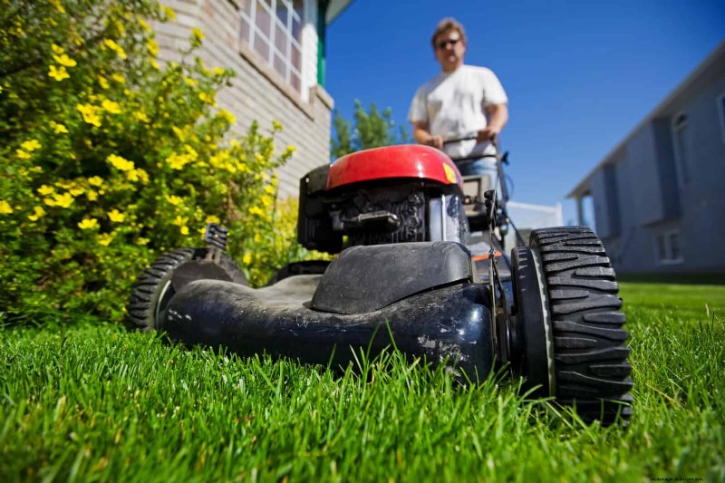 Sustainable Lawn Care: Surviving Heatwaves & Drought - Expert Tips