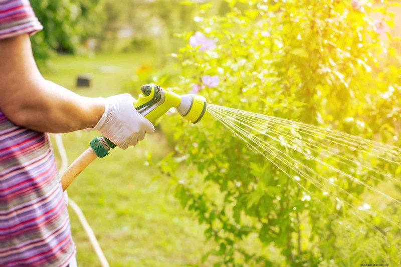 Sustainable Lawn Care: Surviving Heatwaves & Drought - Expert Tips