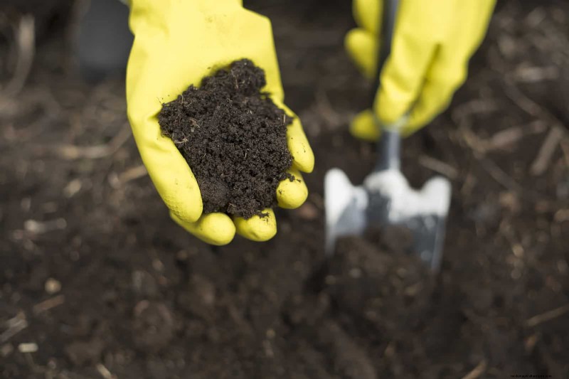 Sustainable Lawn Care: Surviving Heatwaves & Drought - Expert Tips