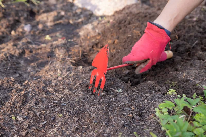 Sustainable Lawn Care: Surviving Heatwaves & Drought - Expert Tips