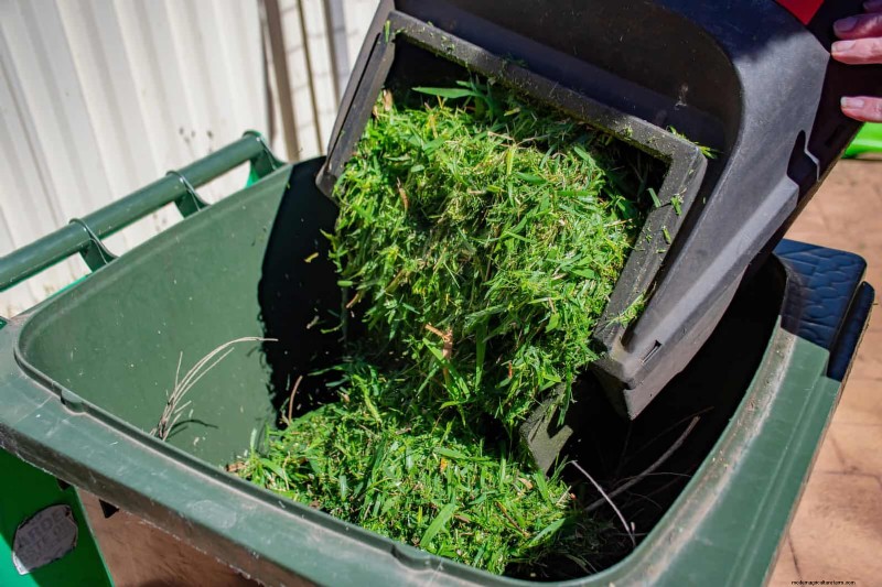 Sustainable Lawn Care: Surviving Heatwaves & Drought - Expert Tips