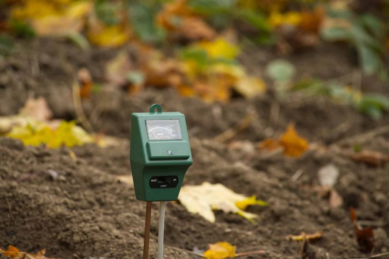 Sustainable Lawn Care: Surviving Heatwaves & Drought - Expert Tips